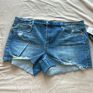 BlankNYC Classic Stretch Cutoff Shorts